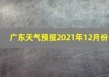 广东天气预报2021年12月份