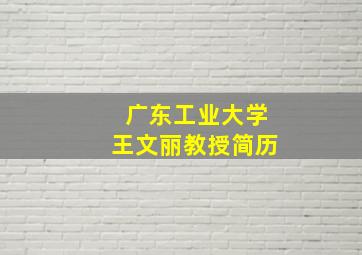 广东工业大学王文丽教授简历