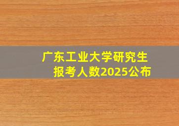 广东工业大学研究生报考人数2025公布