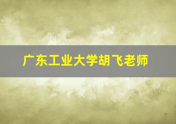 广东工业大学胡飞老师