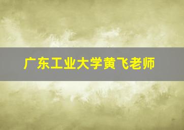 广东工业大学黄飞老师