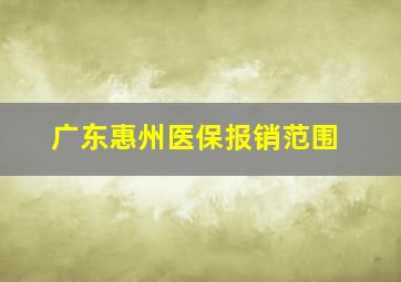 广东惠州医保报销范围