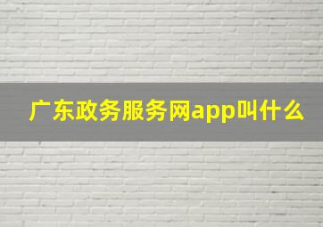 广东政务服务网app叫什么