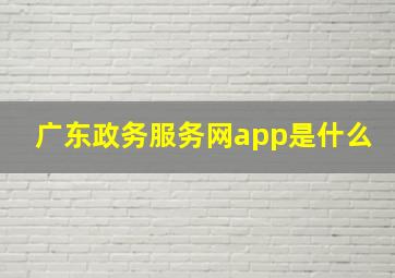 广东政务服务网app是什么