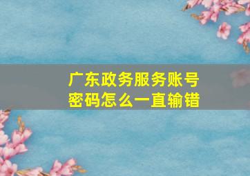 广东政务服务账号密码怎么一直输错