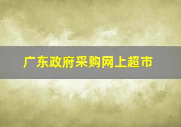 广东政府采购网上超市