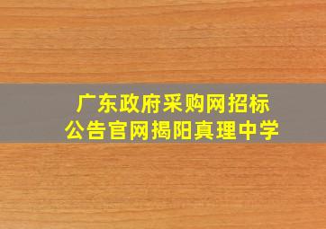 广东政府采购网招标公告官网揭阳真理中学