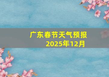 广东春节天气预报2025年12月