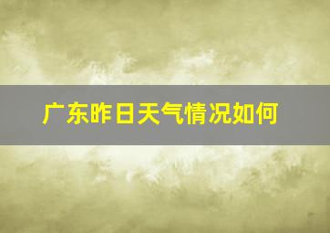 广东昨日天气情况如何