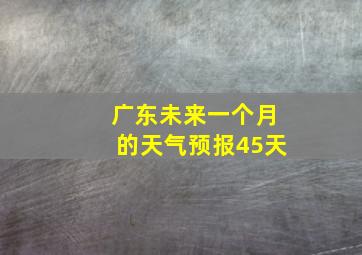 广东未来一个月的天气预报45天