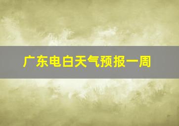 广东电白天气预报一周