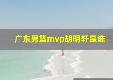 广东男篮mvp胡明轩是谁