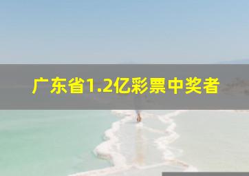 广东省1.2亿彩票中奖者