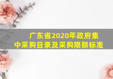 广东省2020年政府集中采购目录及采购限额标准