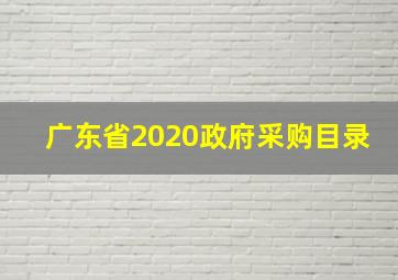 广东省2020政府采购目录