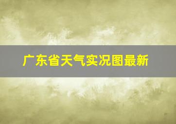 广东省天气实况图最新