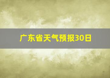 广东省天气预报30日