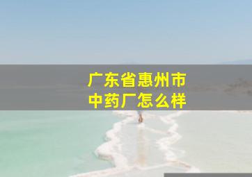 广东省惠州市中药厂怎么样