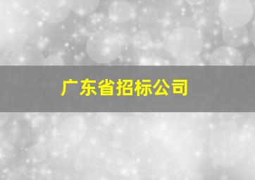 广东省招标公司