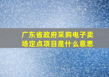 广东省政府采购电子卖场定点项目是什么意思