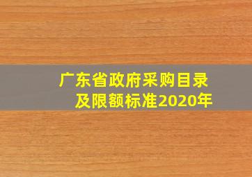 广东省政府采购目录及限额标准2020年