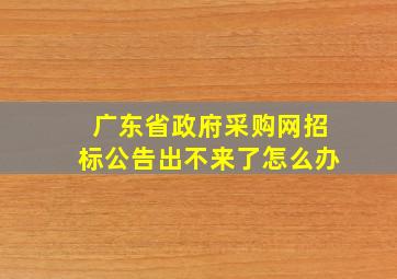 广东省政府采购网招标公告出不来了怎么办