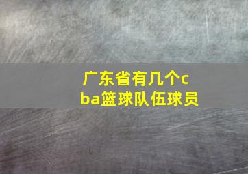 广东省有几个cba篮球队伍球员