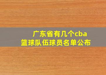 广东省有几个cba篮球队伍球员名单公布