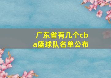 广东省有几个cba篮球队名单公布