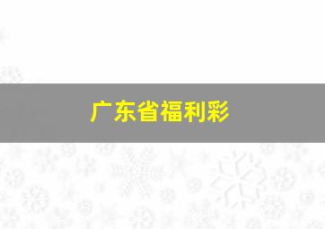 广东省福利彩