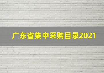 广东省集中采购目录2021