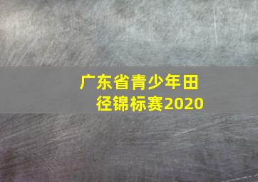 广东省青少年田径锦标赛2020