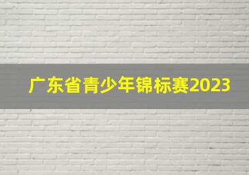 广东省青少年锦标赛2023