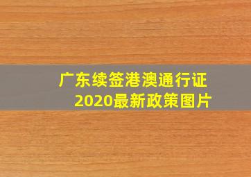 广东续签港澳通行证2020最新政策图片