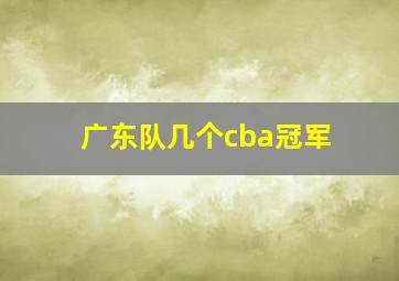 广东队几个cba冠军