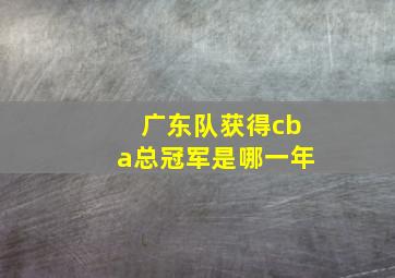 广东队获得cba总冠军是哪一年