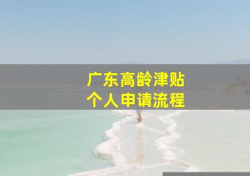 广东高龄津贴个人申请流程