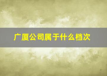 广厦公司属于什么档次