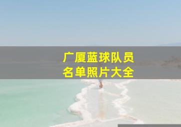 广厦蓝球队员名单照片大全