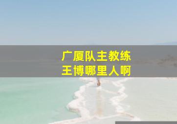 广厦队主教练王博哪里人啊