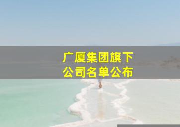 广厦集团旗下公司名单公布