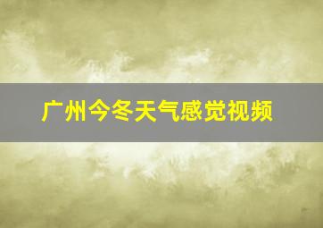 广州今冬天气感觉视频