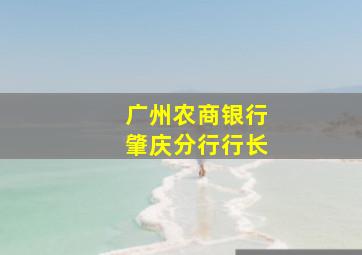 广州农商银行肇庆分行行长