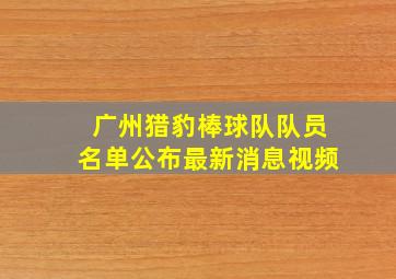 广州猎豹棒球队队员名单公布最新消息视频