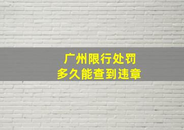 广州限行处罚多久能查到违章