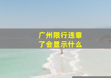 广州限行违章了会显示什么