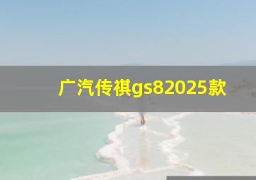 广汽传祺gs82025款