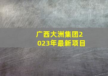 广西大洲集团2023年最新项目