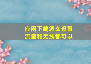 应用下载怎么设置流量和无线都可以