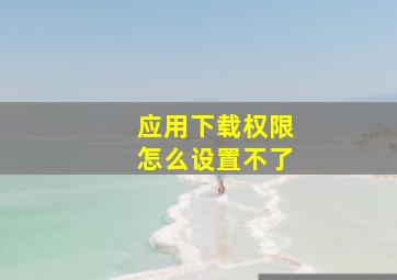 应用下载权限怎么设置不了